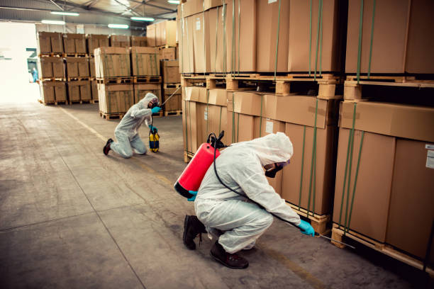 Best Affordable Pest Control Services  in La Cygne, KS