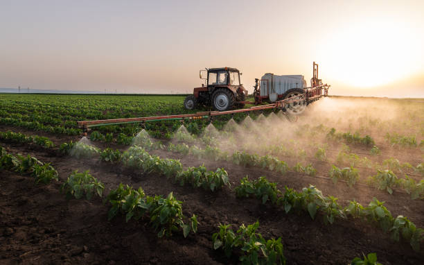 Best Pest Prevention Services  in La Cygne, KS