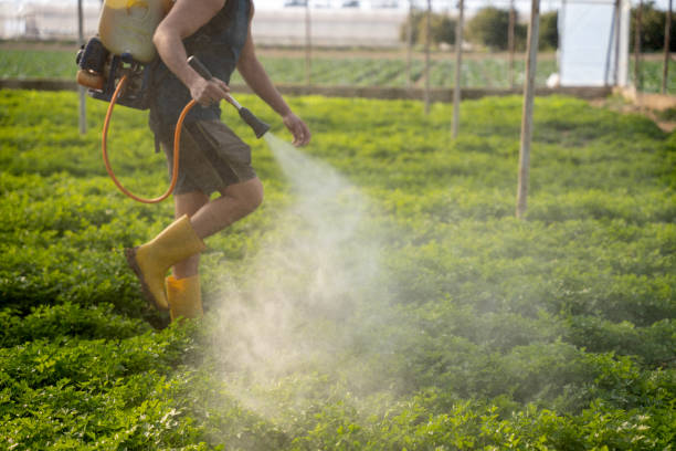 Best Best Pest Control Companies  in La Cygne, KS
