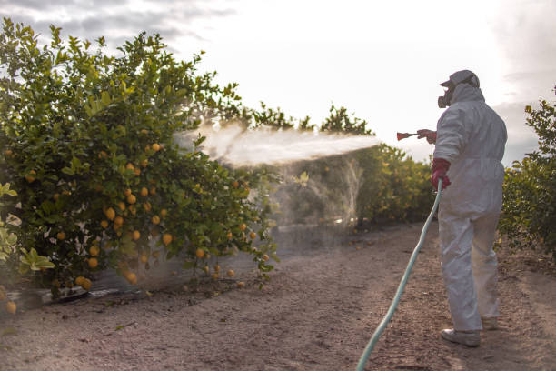 Best Exterminator Services  in La Cygne, KS