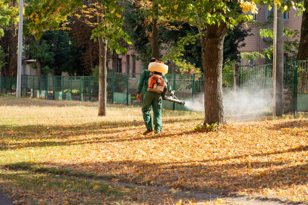 Best Affordable Pest Control Services  in La Cygne, KS
