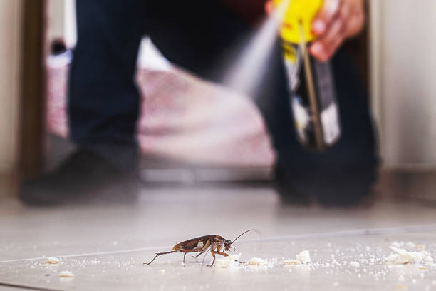 Best Local Pest Control Services  in La Cygne, KS