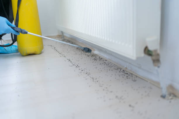 Best Mosquito Control Services  in La Cygne, KS