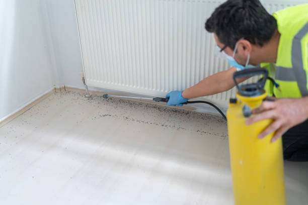 Best Bed Bug Extermination  in La Cygne, KS