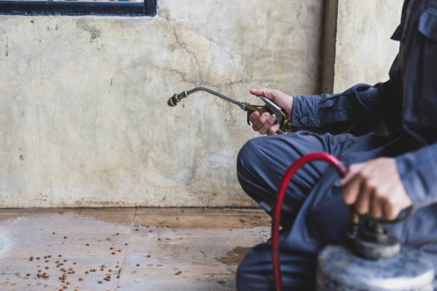 Best Best Pest Control Companies  in La Cygne, KS